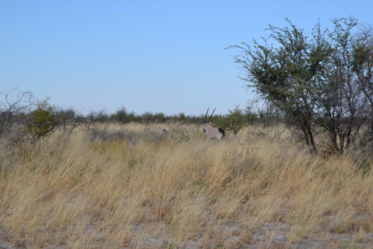 Chobe Sunset Chalets Lesoma المظهر الخارجي الصورة